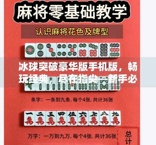 冰球突破豪华版手机版，畅玩经典，尽在指尖—新手必看的全面攻略与网址大全！冰球突破豪华版手机版网址大全