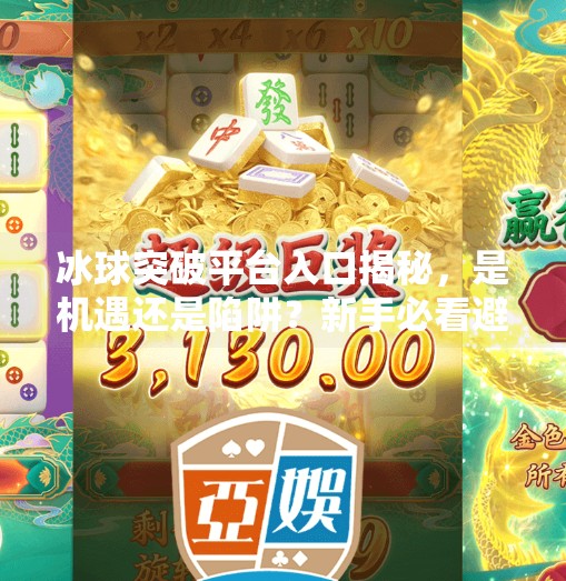 冰球突破平台入口揭秘，是机遇还是陷阱？新手必看避坑指南！冰球突破平台入口